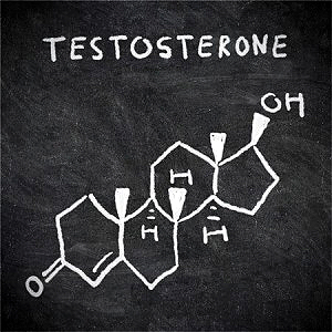 Тестостеронът значително ускорява развитието на мускулната тъкан и улеснява изграждането на мускулите