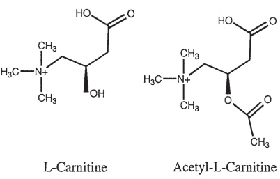L-карнитинът се усвоява по-лесно от L-карнитин L-тартарат