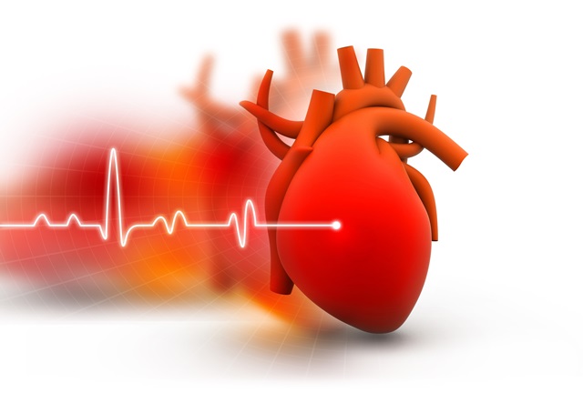 Фолиева киселина (витамин В9), необходима за да се поддържа здравето на сърцето и кръвоносната система. 
