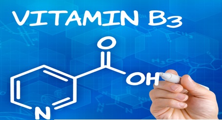 21st Century Niacinamide съдържа ниацин - витамин В3, който подпомага мозъчната функция