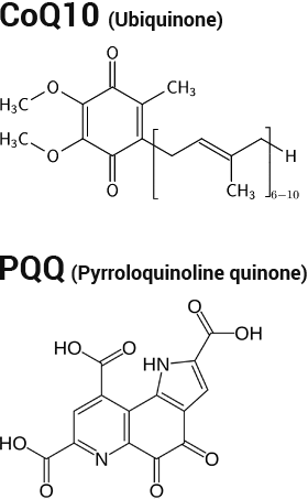За да се запази оптималното количество митохондрии и да се увеличи броят им, може да използвате хранителната добавка Best PQQ, съдържаща пиролохинолин хинон (PQQ).