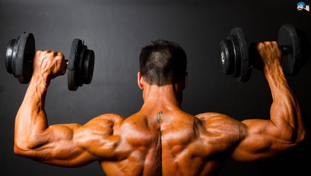 Гейнърът на Muscletech 100% Premium Mass Gainer ускорява качването на мускулна маса.