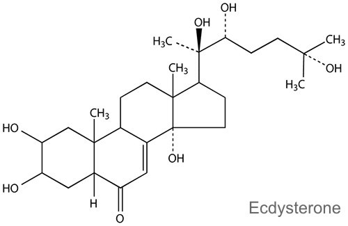 MyProtein ви предлага Beta Ecdysterone 60 капсули на страхотна цена и с бърза доставка повишава имунитета.