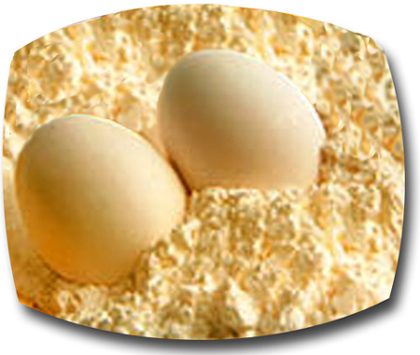 Яйчният белтък на прах Egg White Powder 1 кг от Myprotein е протеинов продукт с високо качество. 
