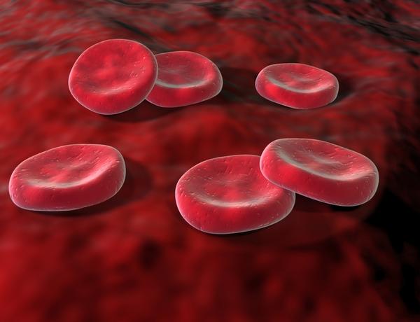 Myprotein Iron plus Folic Acid насърчава образуването на червени кръвни клетки.