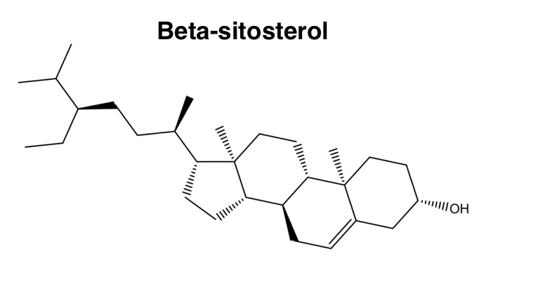 Natrol Cholesterol Balance Beta Sitosterol регулира съдържанието на холестерол в кръвта