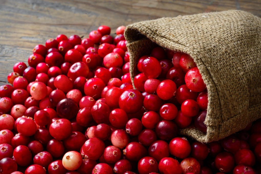 Natrol Cranberry Extract 800 mg е продукт с отлично качество и топ цена в Protein.bg