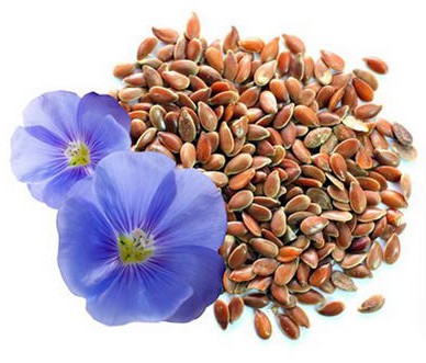 Natrol Flax Seed Oil 1000mg укрепва имунитета и намалява теглото