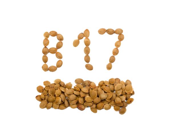 Vitamin B17 500mg PDM Pharmaceuticals е чист витамин В17, извлечен от кайсиеви ядки