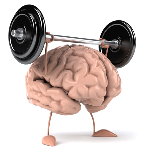 PRIMAFORCE Beta-Alanine подобрява кръвообращението на мозъка и подобрява паметта.