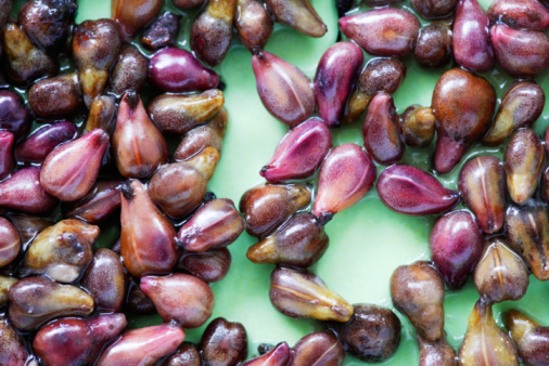 Prozis Foods Grape Seed Extract 100mg има силно антиоксидантно действие