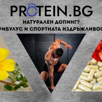 Натурален допинг? Трибулус и спортната издръжливост