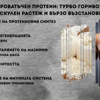 Суроватъчен протеин: Турбо‑горивото за мускулен растеж и бързо възстановяване