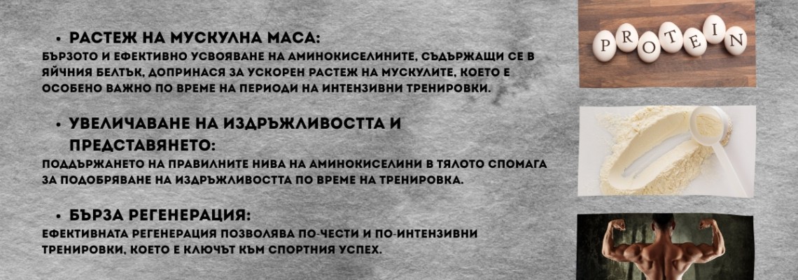 Защо спортистите избират яйчен протеин за бърз мускулен растеж?