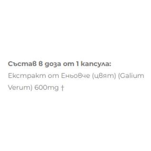 Екстракт от Еньовче 600 mg - Диуретици - Biliana Yotovska Biliana Yotovska Екстракт от Еньовче 600 mg 60 капсули