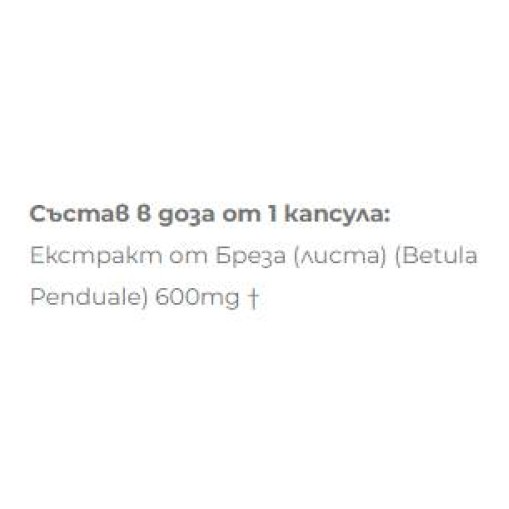 Екстракт от Бреза 600 mg - Бяла бреза - Biliana Yotovska Екстракт от Бреза 600 mg 60 капсули