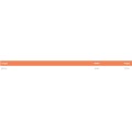 GymBeam PUSH Parallette Bars GymBeam PUSH Parallette Bars