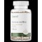 OstroVit Green Coffee 500 mg / Vege 90 капсули