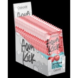 OstroVit Aqua Kick / Advanced Hydration with L-Carnitine & Green Tea 24 x 10 грама