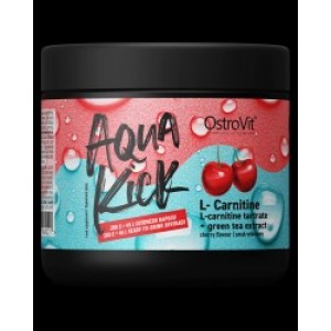 OstroVit Aqua Kick / Advanced Hydration with L-Carnitine & Green Tea 300 грама