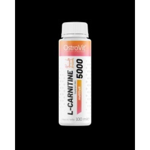 OstroVit L-Carnitine 5000 Shot 100 мл OstroVit L-Carnitine 5000 Shot 100 мл