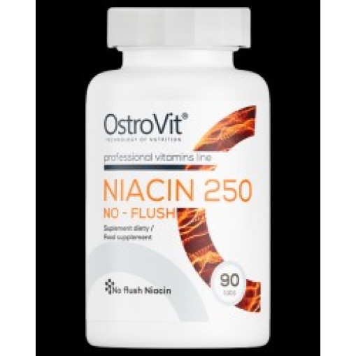 OstroVit Niacin 250 | No-Flush 90 Таблетки