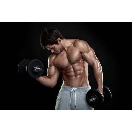 Bulk Powders Brown Rice Protein 80 - - Bulk Powders > Bulk Powders Brown Rice Protein 80