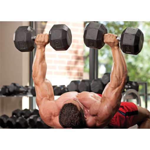  > Bulk Powders Superior Pea Protein Isolate