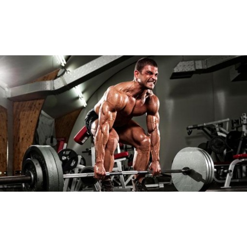 Muscletech Mass Tech - Гейнъри - MuscleTech Гейнъри > Muscletech Mass Tech