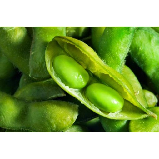 MyVegies 100 Soy Protein - Протеини - MyVegies Протеини > MyVegies 100 Soy Protein