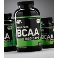 BCAA > Optimum Nutrition BCAA 1000 Mega Size