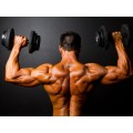 Гейнъри > QNT Protein Muscle Recall
