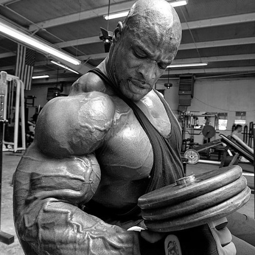 Ronnie Coleman Pro-Antium - Протеини - Ronnie Coleman Протеини > Ronnie Coleman Pro-Antium