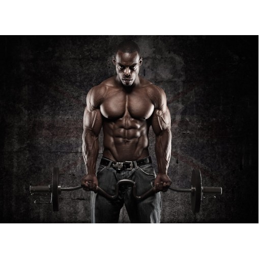 SAN 100 Casein Fusion - Протеини - SAN Протеини > SAN 100 Casein Fusion